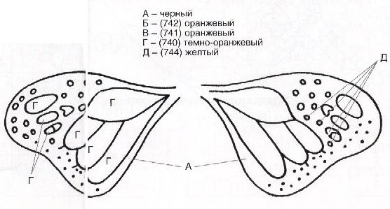 Верхние крылья
