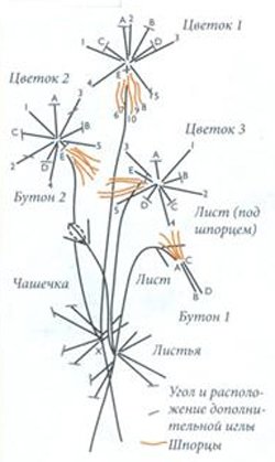 Вышивка лентами. Схема