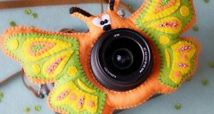 pad on the camera