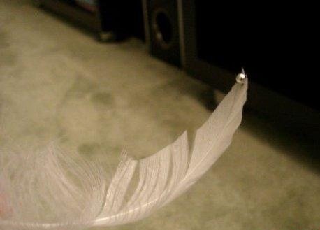 articles made of feathers